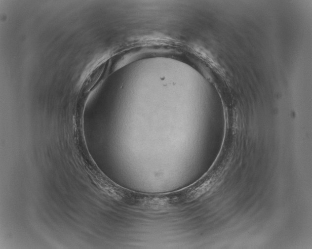 X0000068741261200605051442