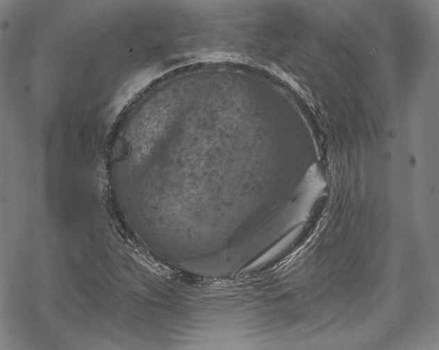 X0000068741263200605051442