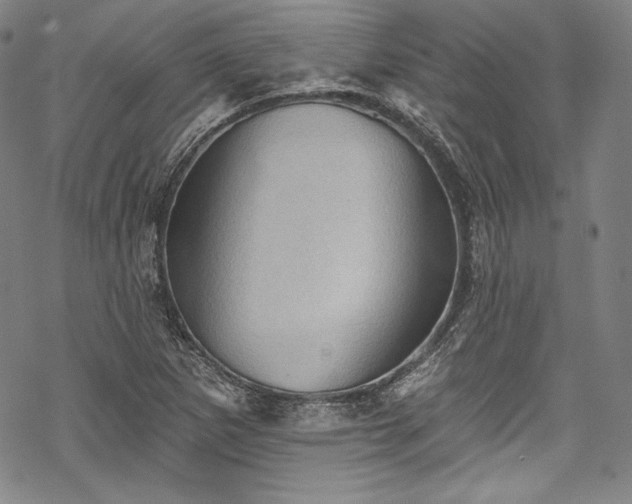 X0000068741265200605051442