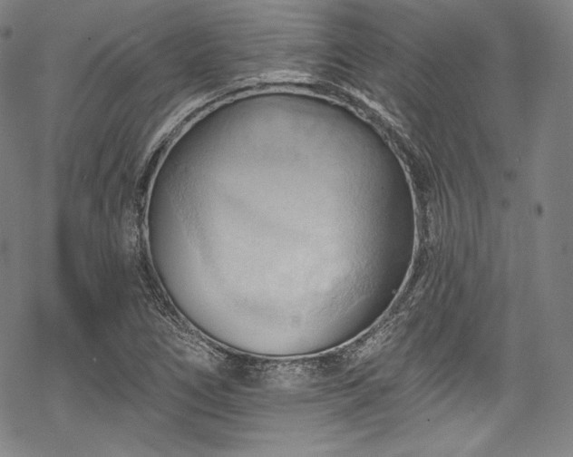 X0000068741266200605051442