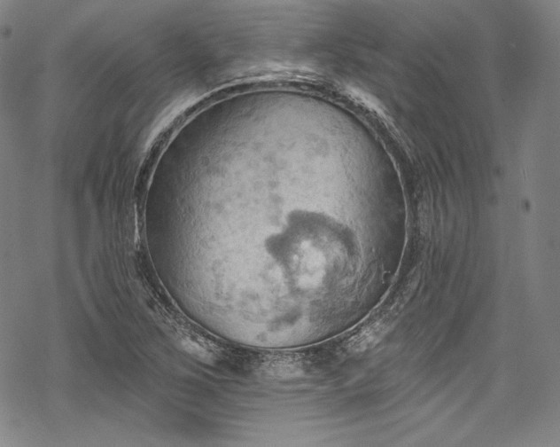 X0000068741267200605051442