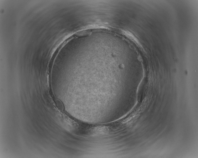 X0000068741268200605051442