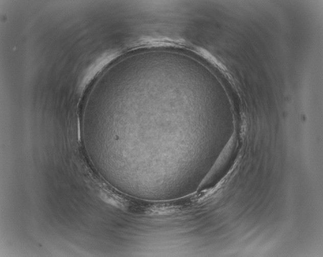 X0000068741269200605051442