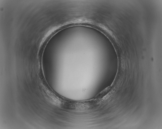 X0000068741270200605051442