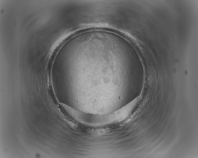 X0000068741271200605051442