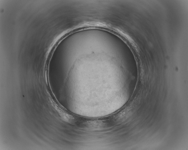 X0000068741272200605051442