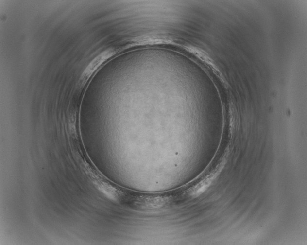 X0000068741273200605051442