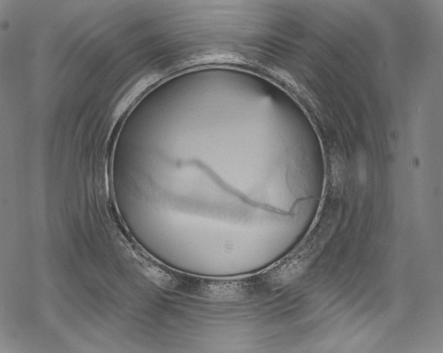 X0000068741274200605051442