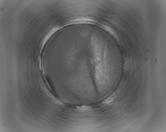 X0000068741275200605051442