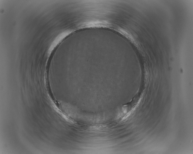 X0000068741277200605051442