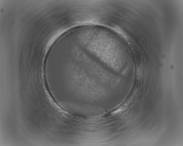 X0000068741279200605051442