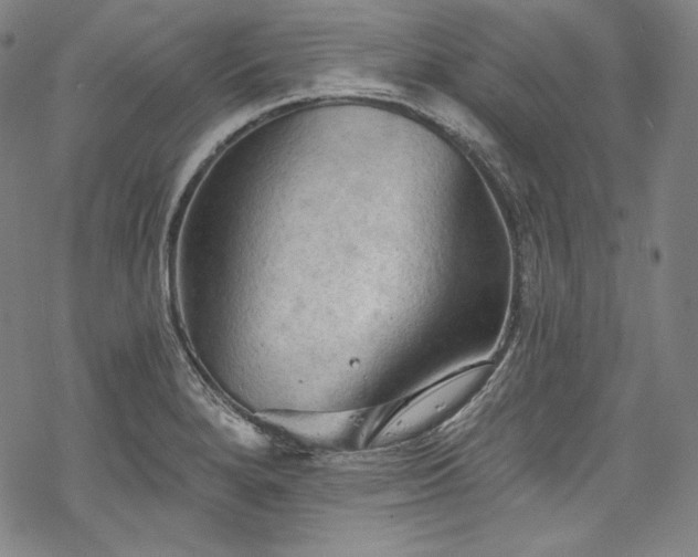 X0000068741280200605051442