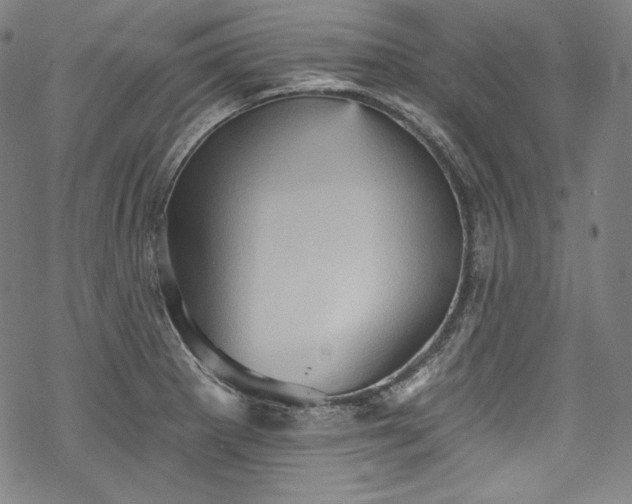 X0000068741281200605051442