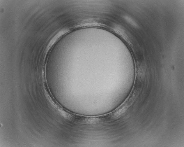 X0000068741282200605051442