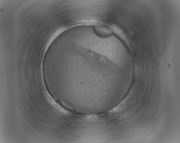 X0000068741283200605051441