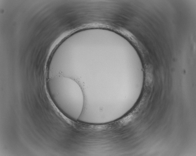 X0000068741286200605051441