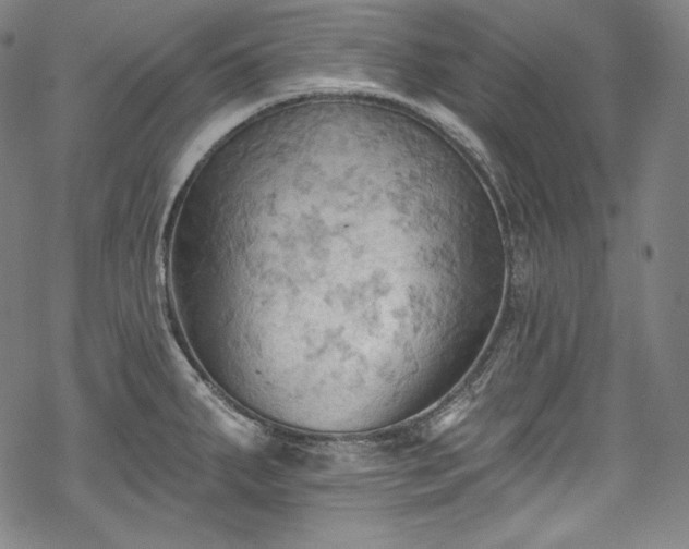 X0000068741287200605051441