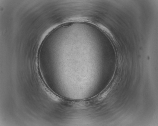 X0000068741288200605051441