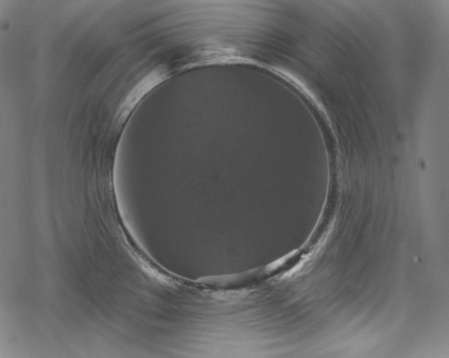 X0000068741289200605051441