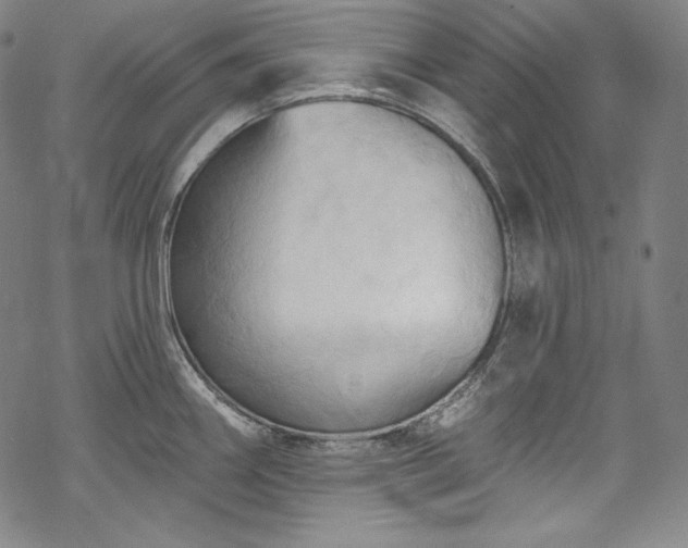 X0000068741290200605051441