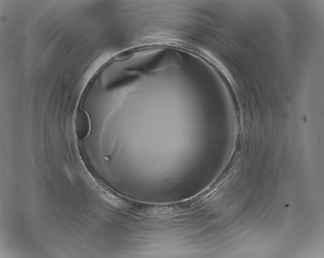 X0000068741291200605051441