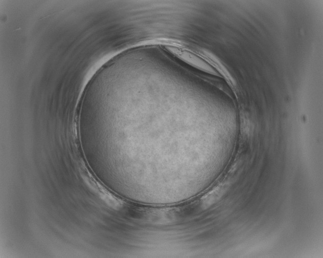 X0000068741292200605051441