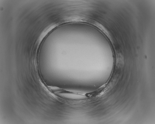 X0000068741293200605051441