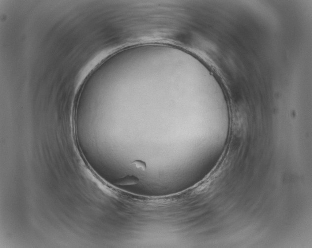 X0000068741294200605051441