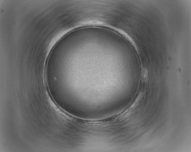 X0000068741295200605051441