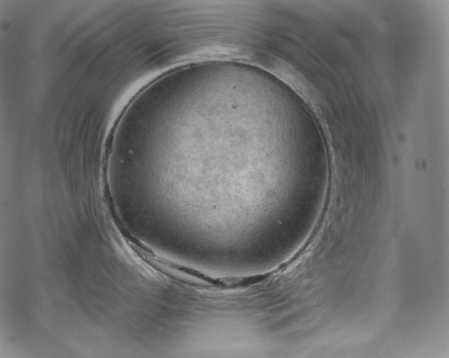 X0000068741296200605051441