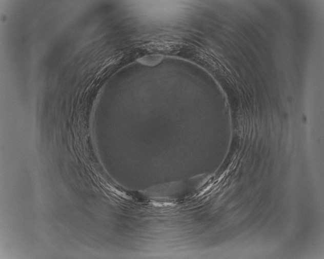 X0000068741297200605051440