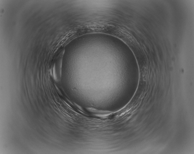 X0000068741298200605051440