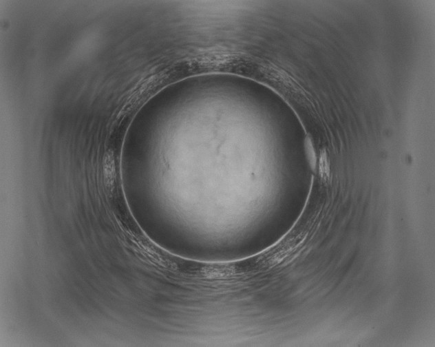 X0000068741299200605051440