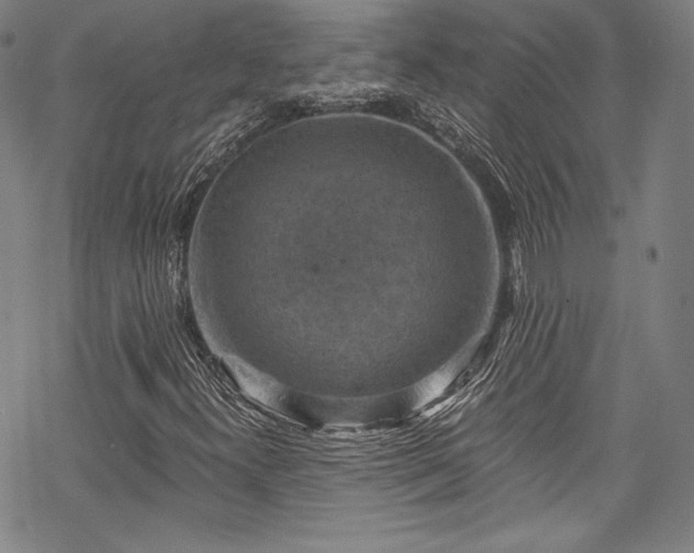 X0000068741300200605051440