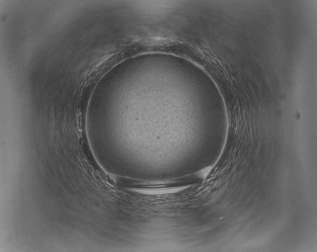 X0000068741301200605051440