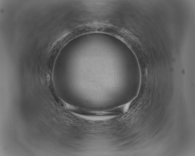 X0000068741302200605051440