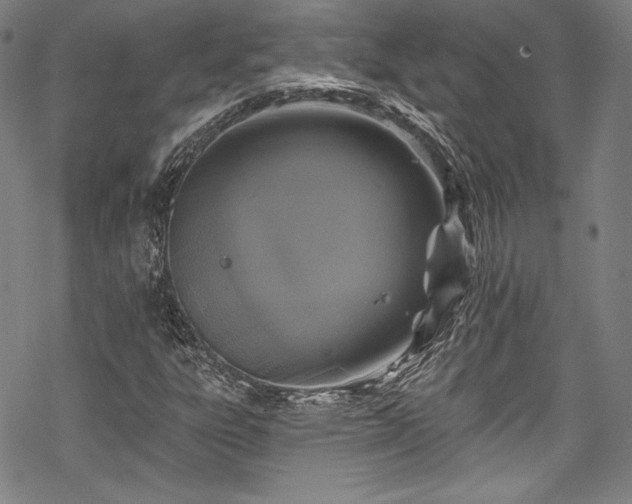 X0000068741303200605051441