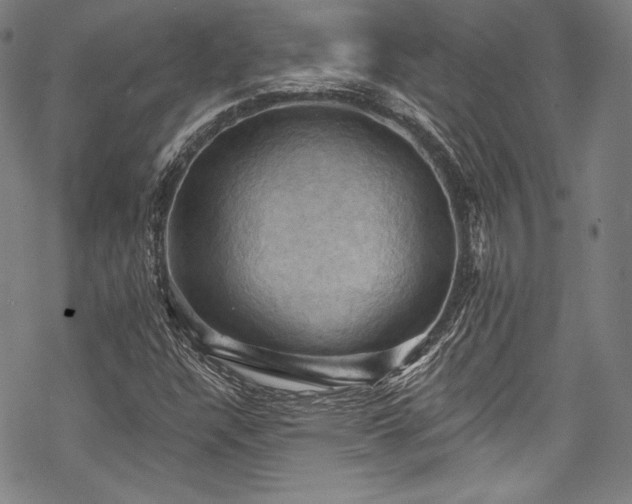 X0000068741304200605051441