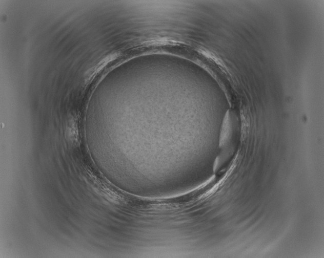 X0000068741305200605051441