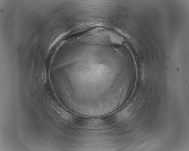 X0000068741306200605051441