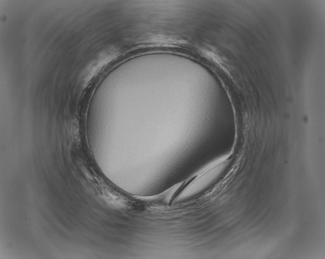 X0000068741307200605051441