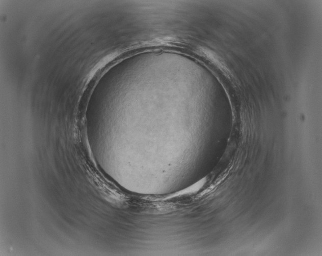 X0000068741308200605051441