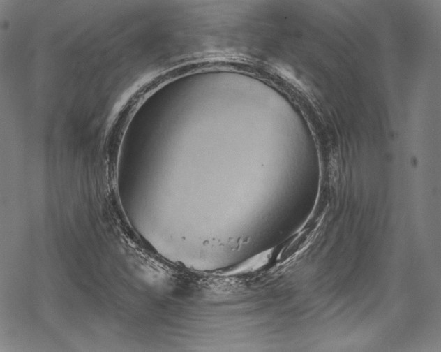 X0000068741310200605051441