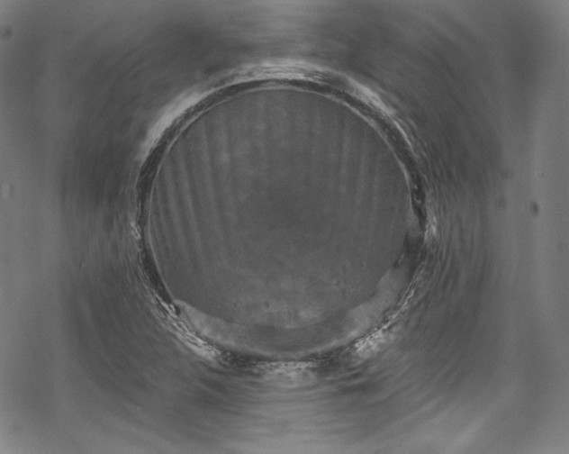 X0000068741312200605051441