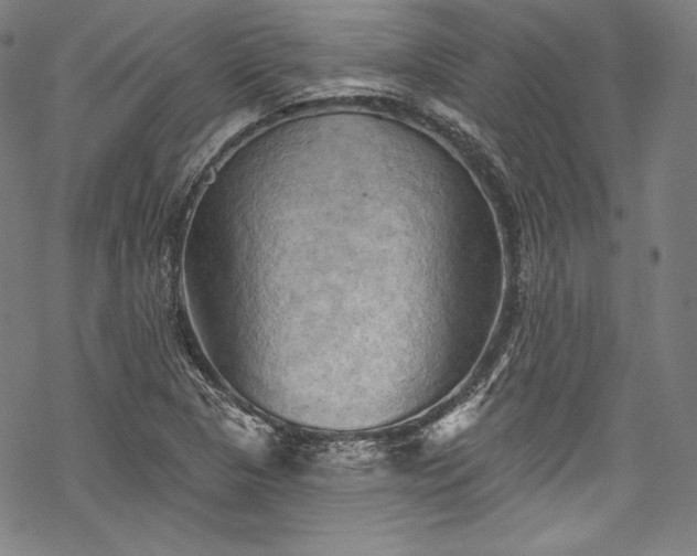 X0000068741313200605051441