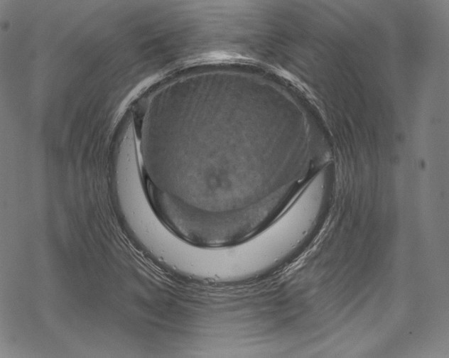 X0000068741314200605051441