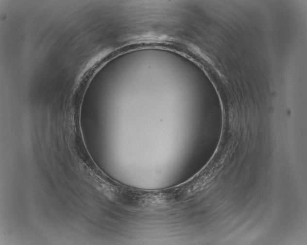 X0000068741315200605051441