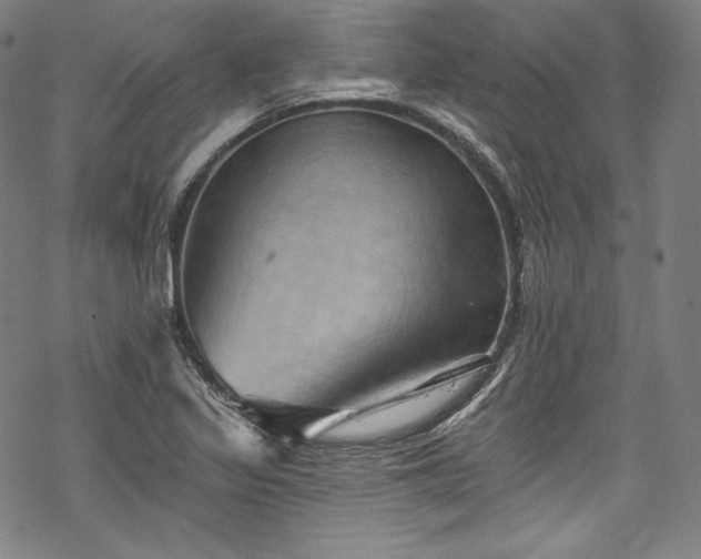 X0000068741317200605051441