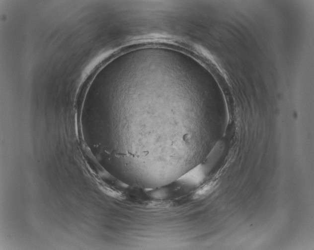 X0000068741320200605051441