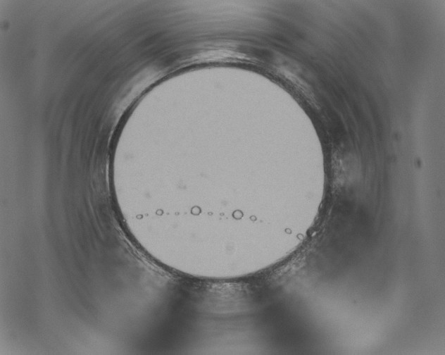 X0000068741322200605051441